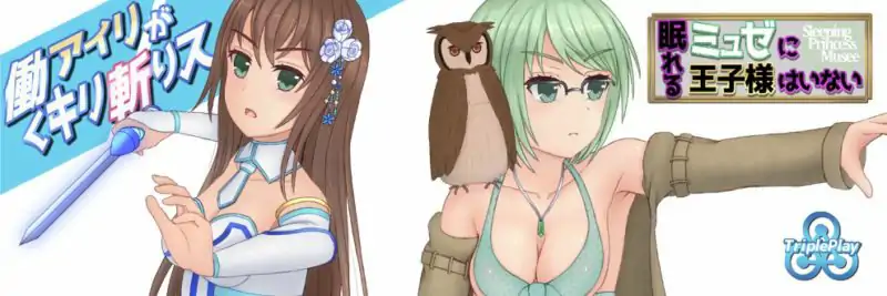 图片[3]-安卓+电脑【RPG日系/动态】暴躁的砍王艾莉公主 全CG回想-大壮社区