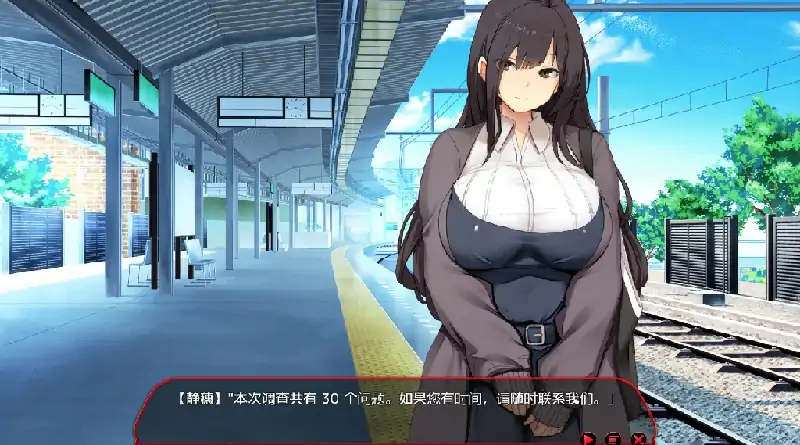 图片[6]-PC电脑 [爆款SLG/动态/CV]满车率300%叁-大壮社区