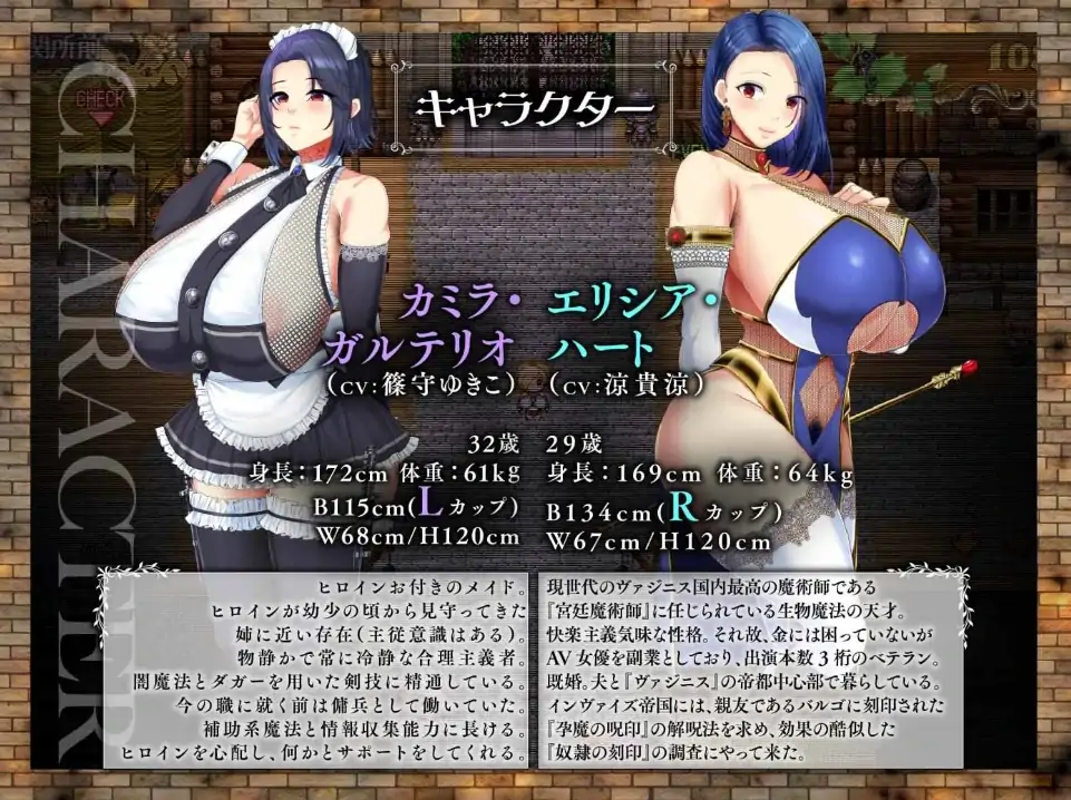 图片[1]-安卓+电脑【精品RPG/全CV】亡国的公主沦为侵略国家的共有奴隶-大壮社区