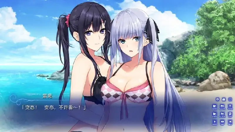 图片[8]-安卓+电脑【神作ADV/动态/魔改版]水莲与紫苑 全CG 骑 Ty模拟器玩-大壮社区