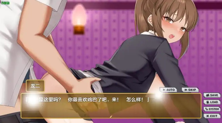 图片[5]-安卓+电脑【SLG/CV/作弊】NTR女主角 姬子 -秘密的学园性生活-大壮社区