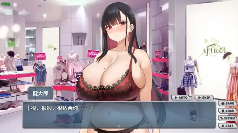 图片[6]-安卓+电脑【SLG/CV/作弊】NTR女主角 姬子 -秘密的学园性生活-大壮社区