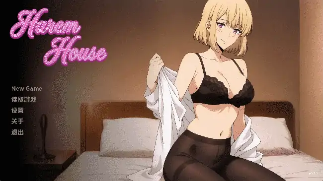 安卓+电脑【同人SLG/动态/后宫】后宫之家 v0.1.5步-大壮社区